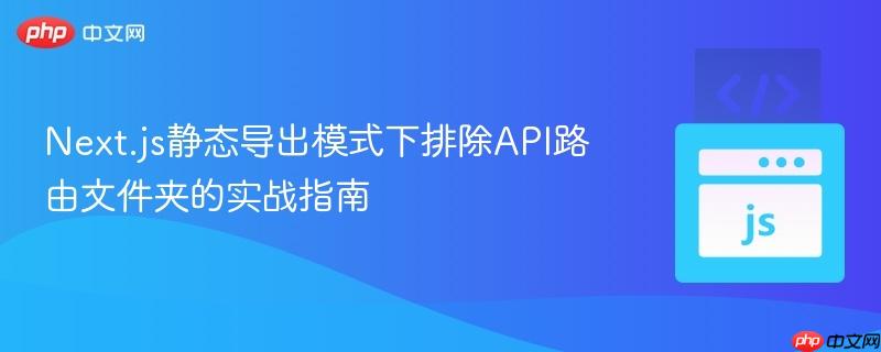 Next.js静态导出模式下排除API路由文件夹的实战指南
