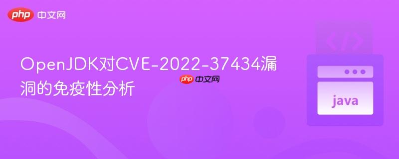 OpenJDK对CVE-2022-37434漏洞的免疫性分析
