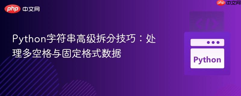Python字符串高级拆分技巧：处理多空格与固定格式数据
