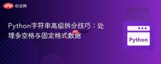 Python字符串高级拆分技巧：处理多空格与固定格式数据