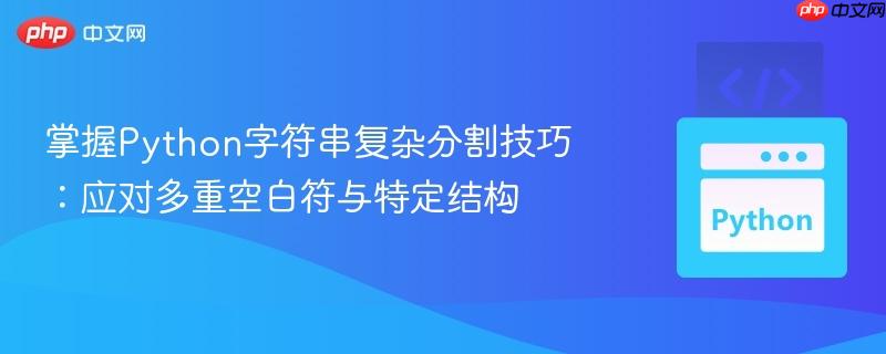 掌握Python字符串复杂分割技巧：应对多重空白符与特定结构
