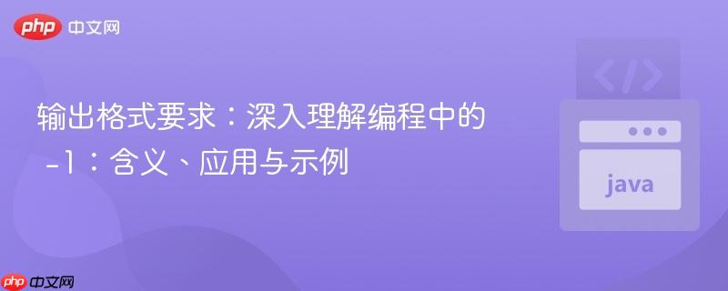 输出格式要求：深入理解编程中的 -1：含义、应用与示例