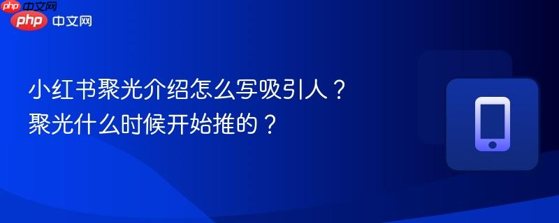 小红书聚光介绍怎么写吸引人?聚光什么时候开始推的? 小红书聚光介绍怎么写吸引人?聚光什么时候开始推的?