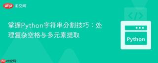 掌握Python字符串分割技巧：处理复杂空格与多元素提取