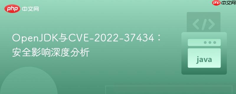 OpenJDK与CVE-2022-37434：安全影响深度分析