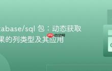 Go database/sql 包：动态获取查询结果的列类型及其应用
