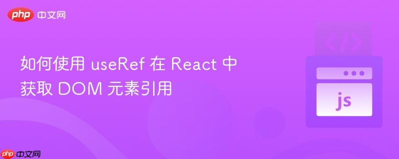 如何使用 useRef 在 React 中获取 DOM 元素引用