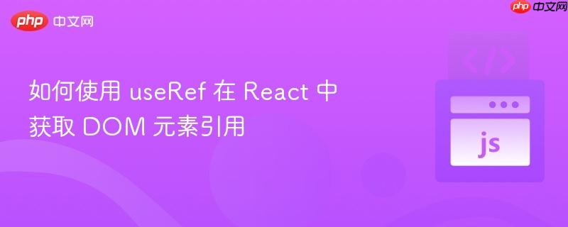 如何使用 useref 在 react 中获取 dom 元素引用