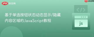 基于单选按钮状态动态显示/隐藏内容区域的JavaScript教程