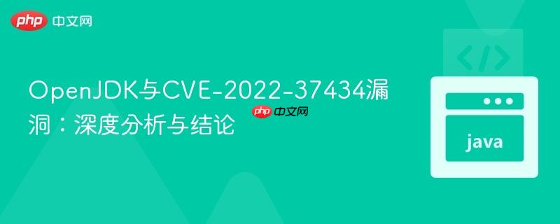 OpenJDK与CVE-2022-37434漏洞:深度分析与结论