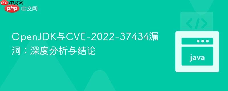 OpenJDK与CVE-2022-37434漏洞：深度分析与结论