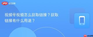 视频号视频怎么获取链接？获取链接有什么用途？