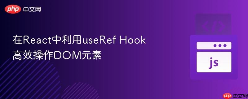 在React中利用useRef Hook高效操作DOM元素
