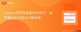 Python字符串高级拆分技巧：处理复杂空白符与内部空格