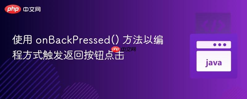 使用 onBackPressed() 方法以编程方式触发返回按钮点击
