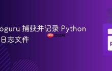 使用 Loguru 捕获并记录 Python 异常到日志文件