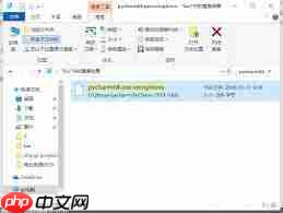 PyCharm如何查看有效期