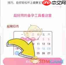 妈妈网孕育中备孕指南教程是什么