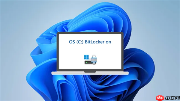 Windows BitLocker自动加密磁盘！3TB宝贵数据丢失：永远无法再找回