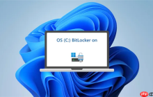 Windows BitLocker自动加密磁盘！3TB宝贵数据丢失：永远无法再找回