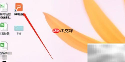 WPS PPT序列号输入方法