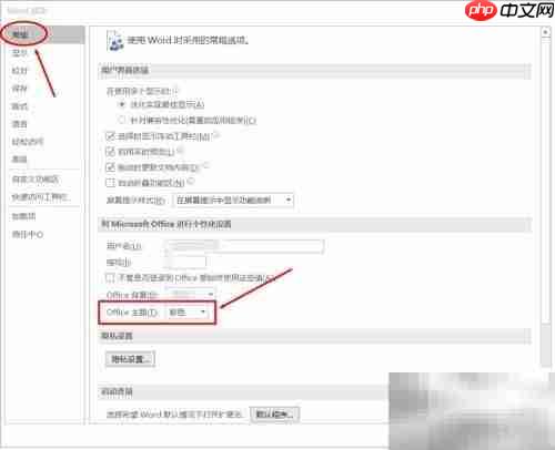 Office主题设置技巧