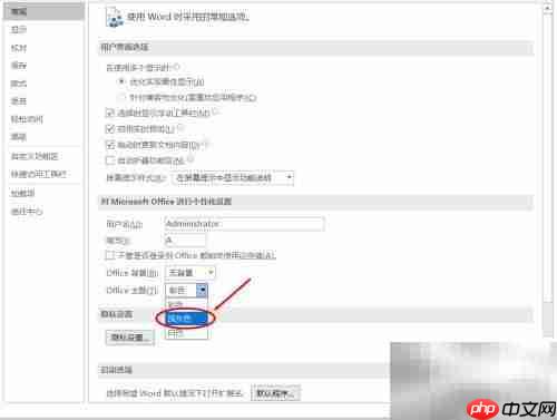 Office主题设置技巧