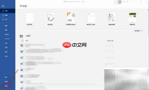 Office主题设置技巧