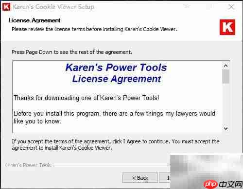 Win10安装Cookie Viewer指南