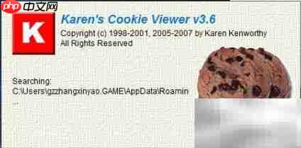 Win10安装Cookie Viewer指南