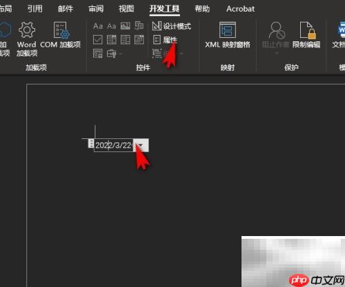 调整Word时间控件显示样式