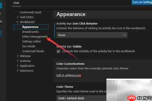 关闭VS Code装饰徽章方法