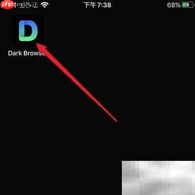 如何设置Dark Browser主题
