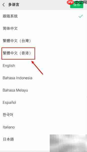 繁体中文格式设置方法