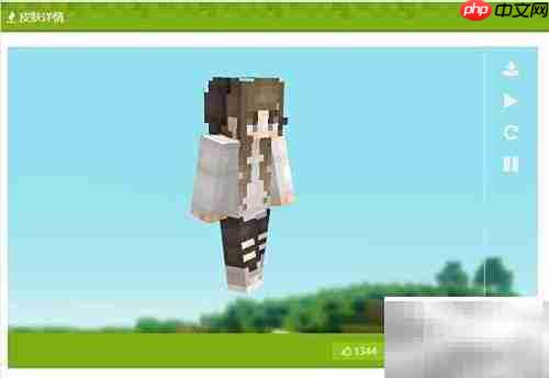 我的世界皮肤下载教程