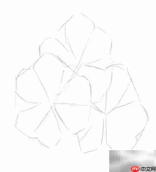 三叶草绘画技巧