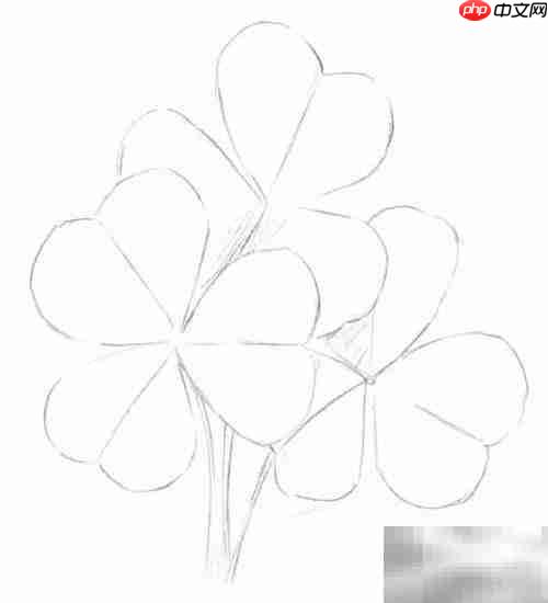 三叶草绘画技巧