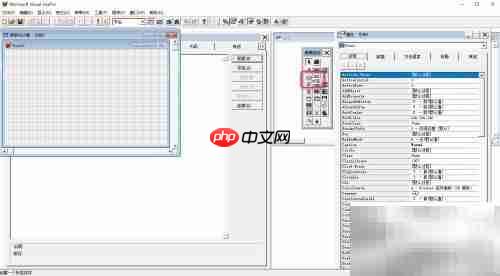 VF6.0标签控件文本显示