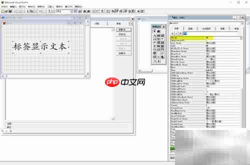 VF6.0标签控件文本显示