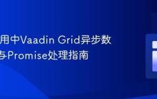 Hilla应用中Vaadin Grid异步数据绑定与Promise处理指南