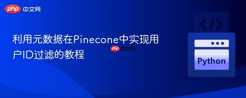 利用元数据在Pinecone中实现用户ID过滤的教程
