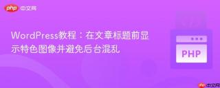 WordPress教程：在文章标题前显示特色图像并避免后台混乱