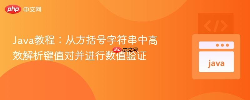 Java教程：从方括号字符串中高效解析键值对并进行数值验证
