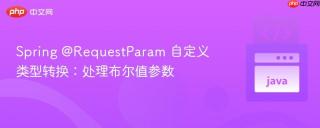 Spring @RequestParam 自定义类型转换：处理布尔值参数