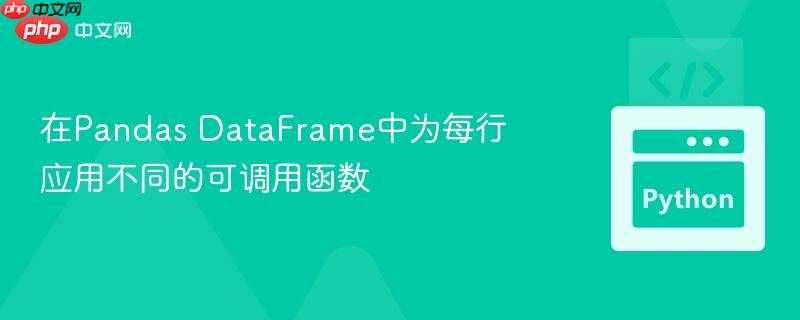 在pandas dataframe中为每行应用不同的可调用函数