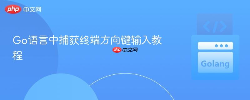 Go语言中捕获终端方向键输入教程