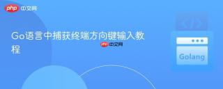 Go语言中捕获终端方向键输入教程