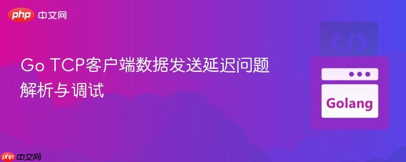 Go TCP客户端数据发送延迟问题解析与调试