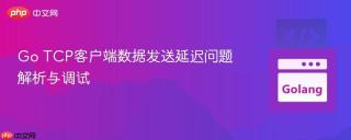 Go TCP客户端数据发送延迟问题解析与调试