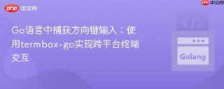 Go语言中捕获方向键输入：使用termbox-go实现跨平台终端交互